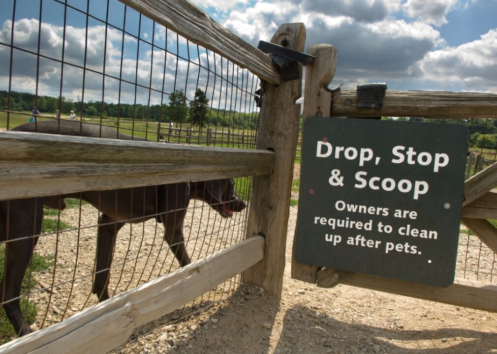 Pick up your puppy's waste
